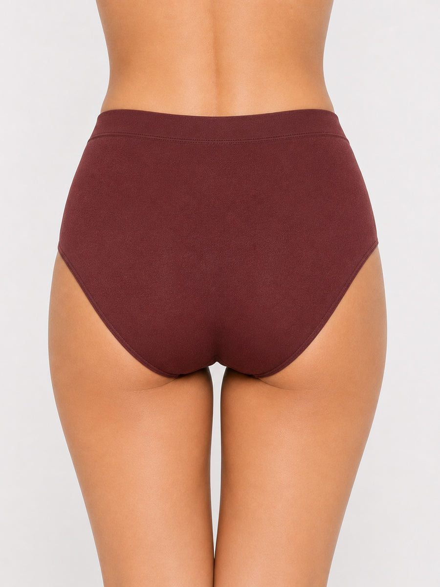 Women Pack of 3 Seamless High-Rise Sweat Absorbing Hipsters Briefs